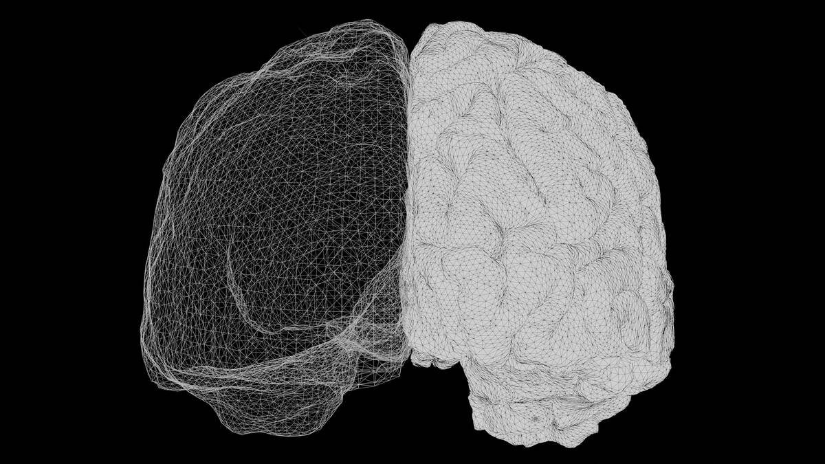 A computer-generated image of a human brain
