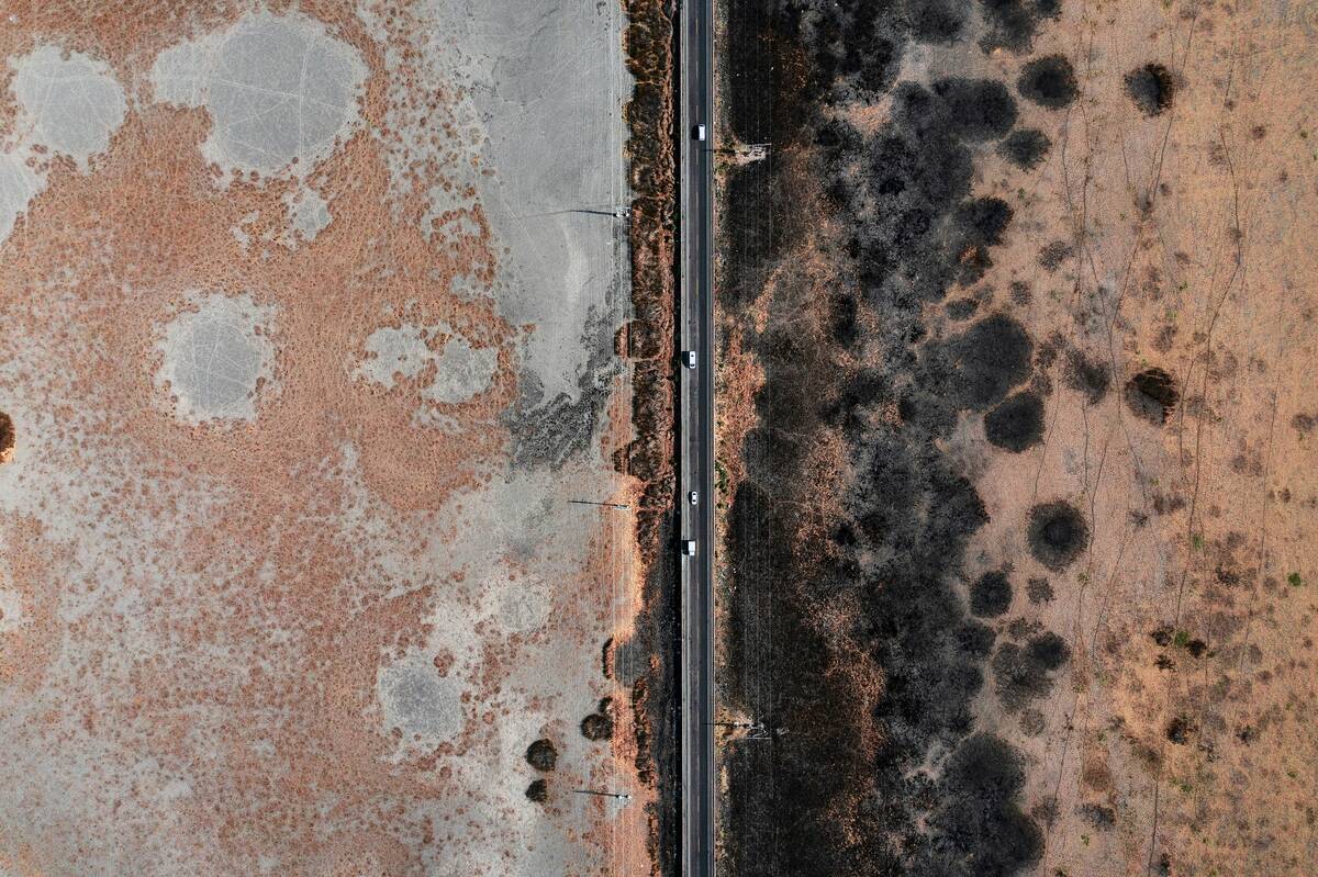 Outdoor landscape near developed property, where mold exposure can occur